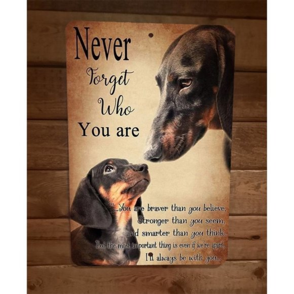 Never Forget Who You Are Dachshund Dog 8x12‎ Metal Wall Sign Animal Poster